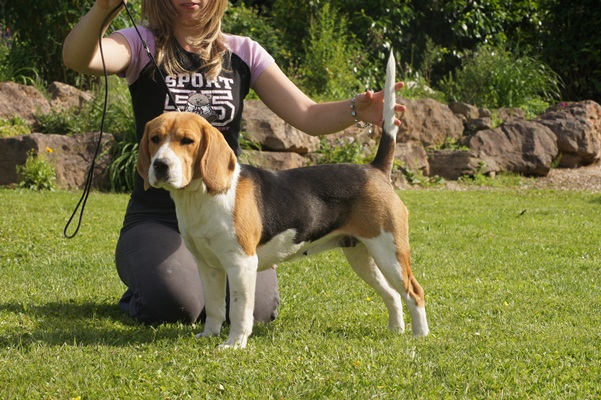 Publication : du clos du bonheur