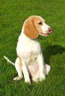 Publication : du clos du bonheur