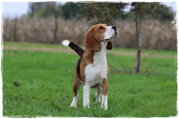 Publication : du clos du bonheur