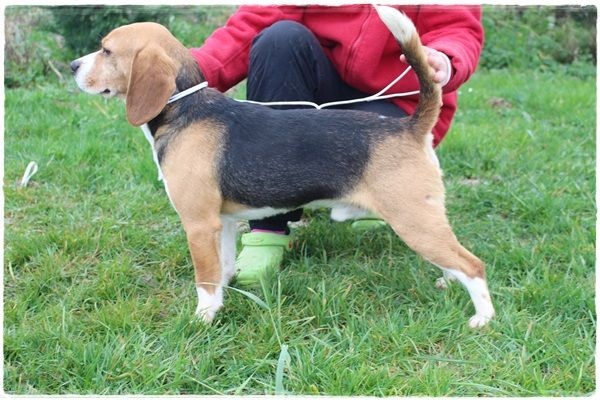 Publication : du clos du bonheur