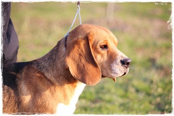 Publication : du clos du bonheur