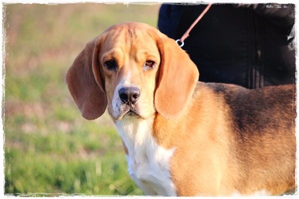 Publication : du clos du bonheur