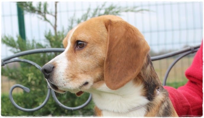 Publication : du clos du bonheur