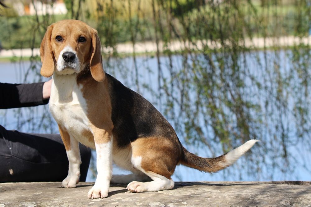 Publication : du clos du bonheur