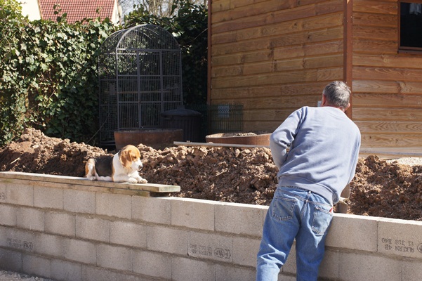 Publication : du clos du bonheur