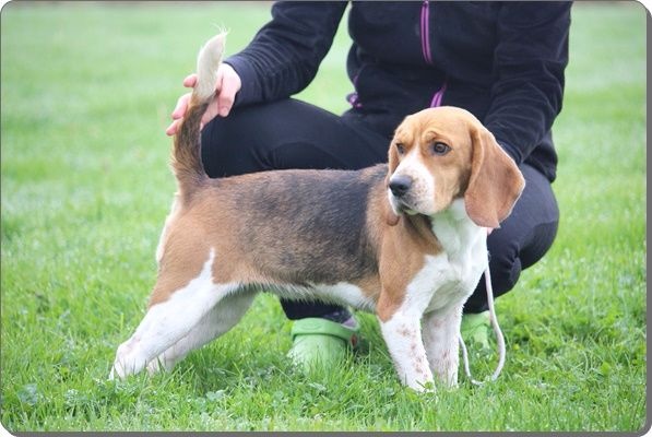 Publication : du clos du bonheur