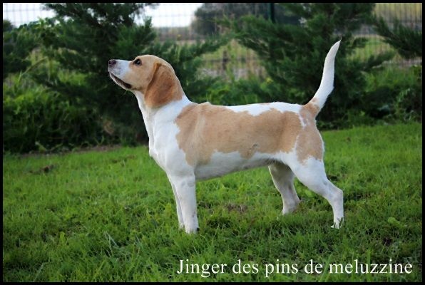 Publication : du clos du bonheur