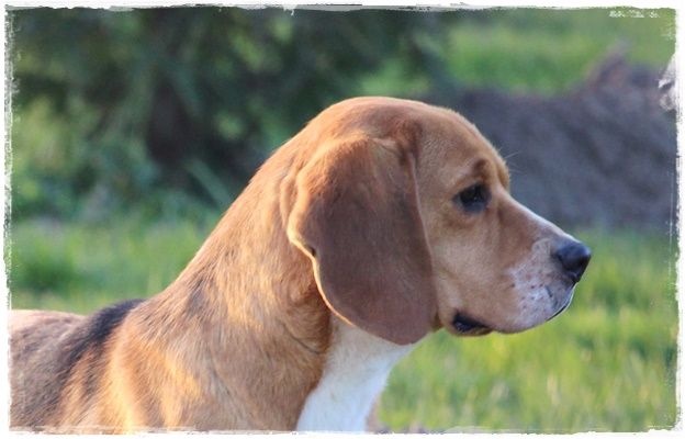 Publication : du clos du bonheur