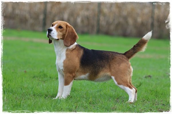 Publication : du clos du bonheur