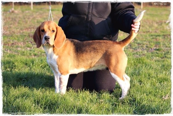 Publication : du clos du bonheur