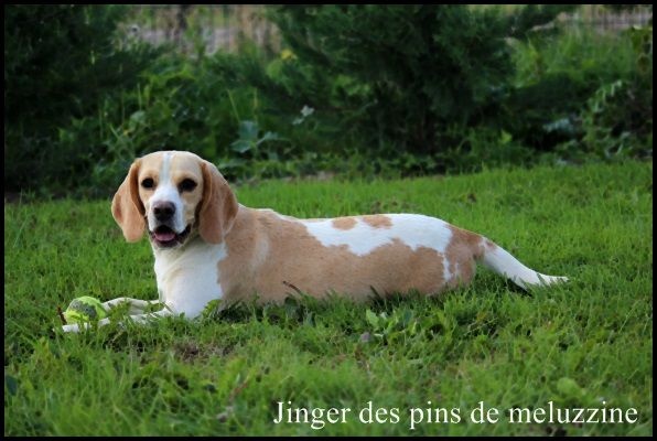 Publication : du clos du bonheur