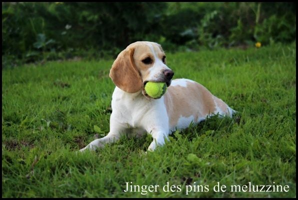 Publication : du clos du bonheur