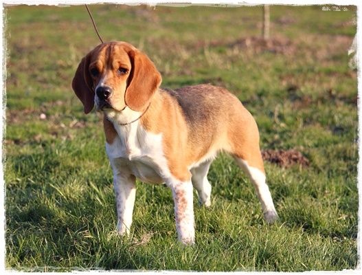 Publication : du clos du bonheur