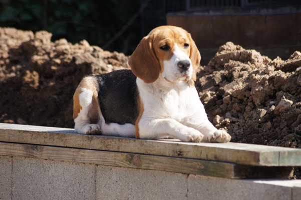 Publication : du clos du bonheur