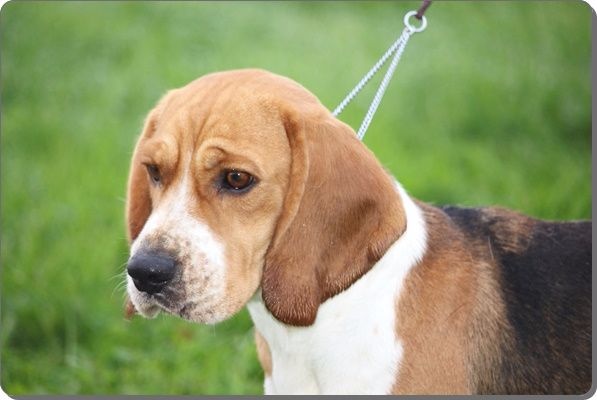 Publication : du clos du bonheur