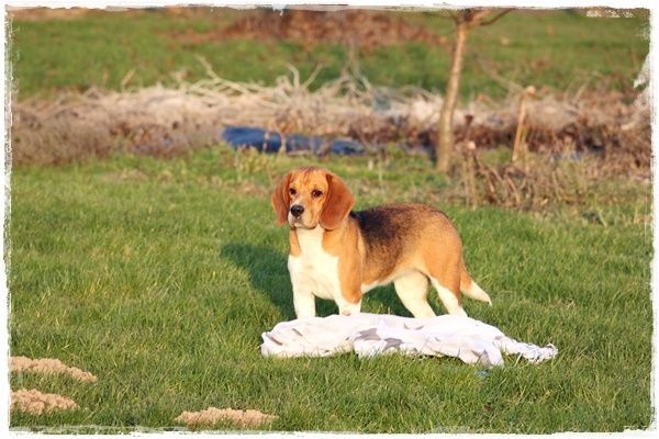 Publication : du clos du bonheur