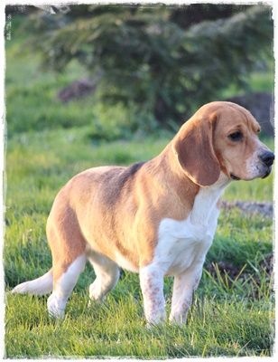 Publication : du clos du bonheur