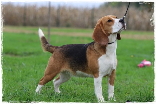 Publication : du clos du bonheur