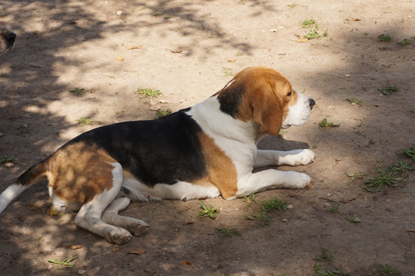 Publication : du clos du bonheur