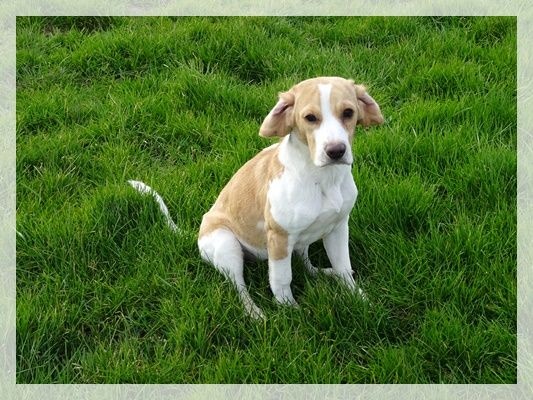 Publication : du clos du bonheur