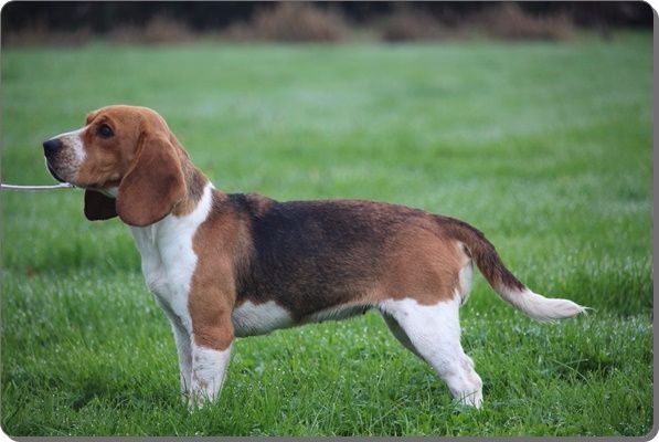 Publication : du clos du bonheur