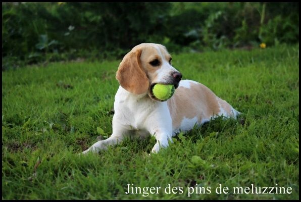 Publication : du clos du bonheur