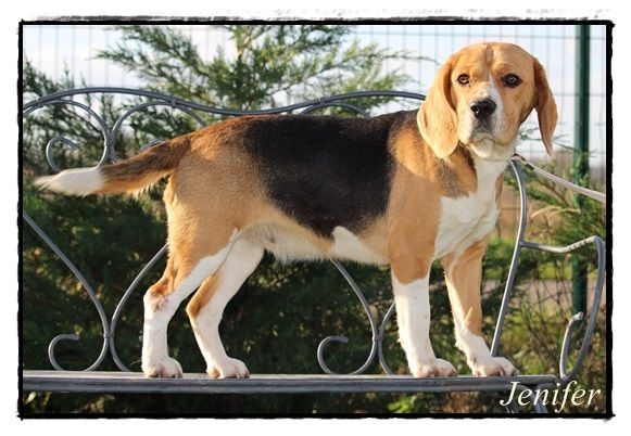 Publication : du clos du bonheur