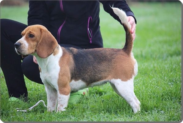 Publication : du clos du bonheur