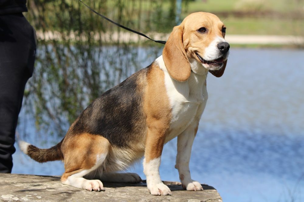 Publication : du clos du bonheur