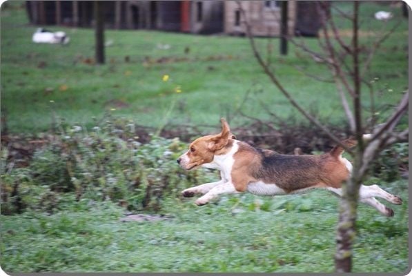 Publication : du clos du bonheur