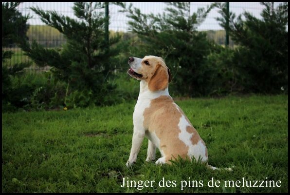 Publication : du clos du bonheur