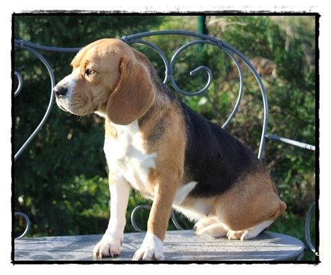 Publication : du clos du bonheur