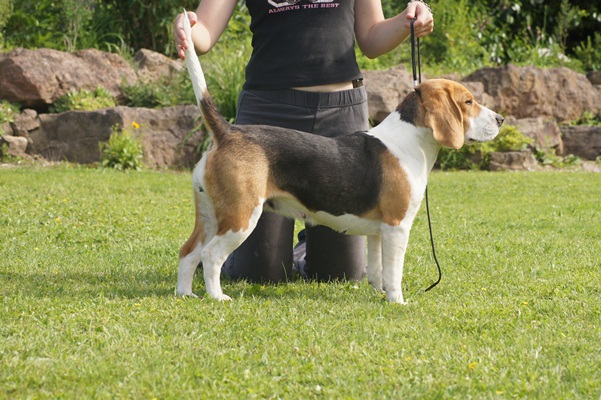 Publication : du clos du bonheur