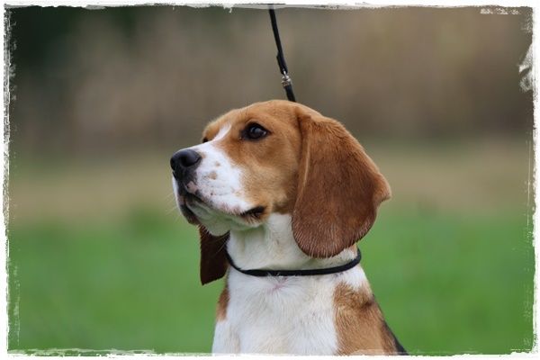 Publication : du clos du bonheur