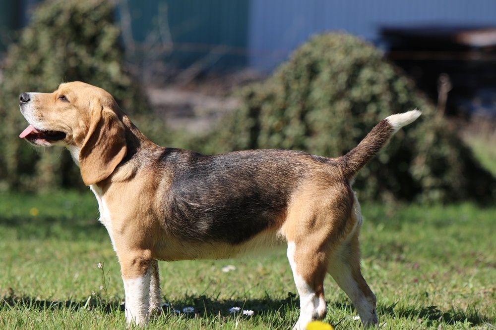 Publication : du clos du bonheur