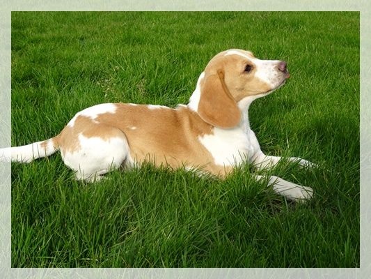 Publication : du clos du bonheur