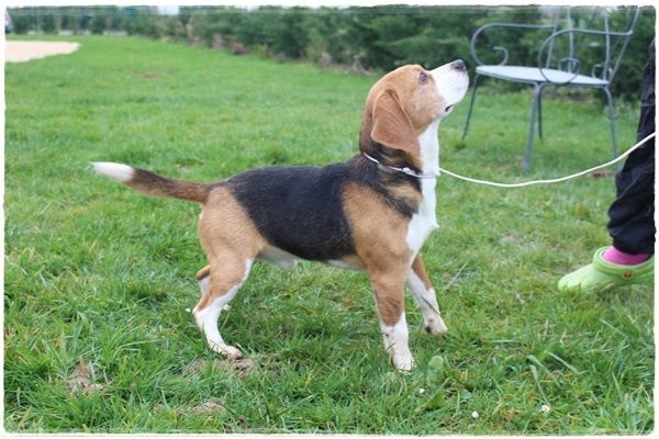 Publication : du clos du bonheur