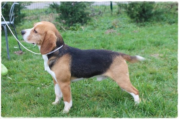 Publication : du clos du bonheur