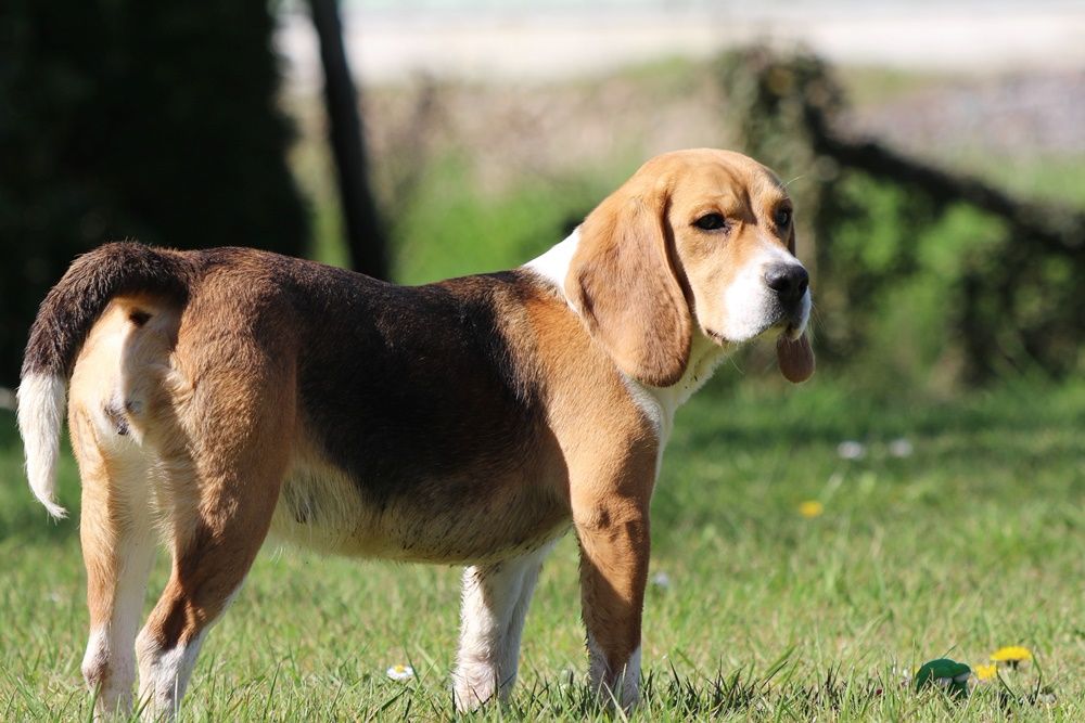 Publication : du clos du bonheur