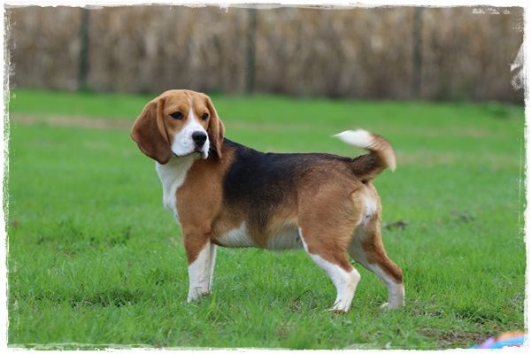 Publication : du clos du bonheur