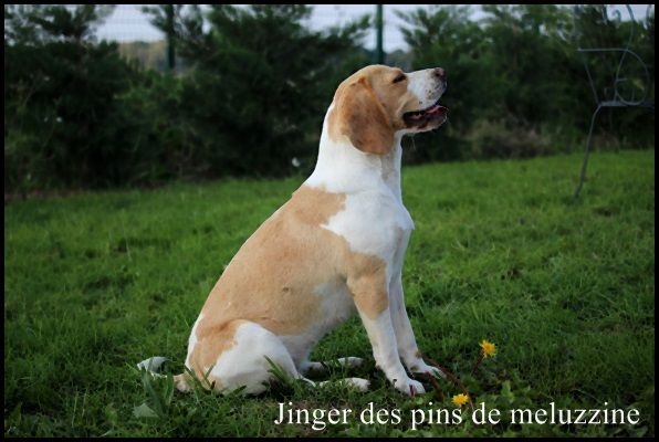 Publication : du clos du bonheur