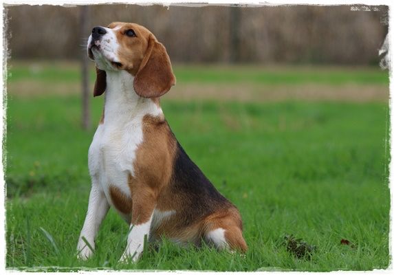 Publication : du clos du bonheur