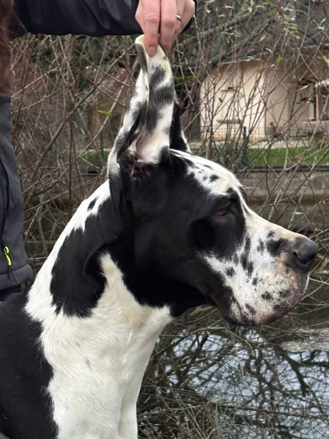 V'isis du Clos du Bonheur