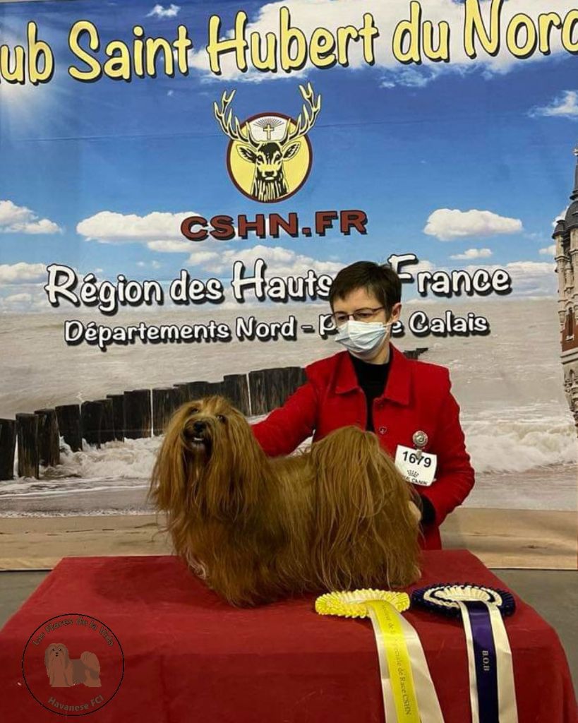 CH. Oye chica baila de las flores de la vida - 1er excellent CACIB Meilleur de race