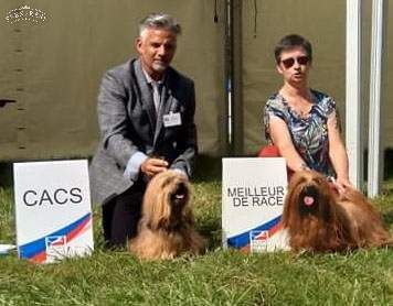 CH. Oye chica baila de las flores de la vida - 1er excellent Meilleur de race