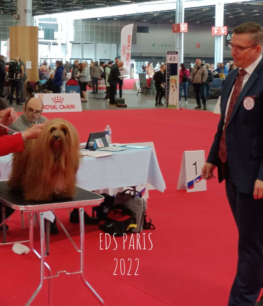 CH. Oye chica baila de las flores de la vida - 3eme excellent classe champion