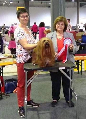 CH. Oye chica baila de las flores de la vida - 1er excellent CACL Meilleur de race