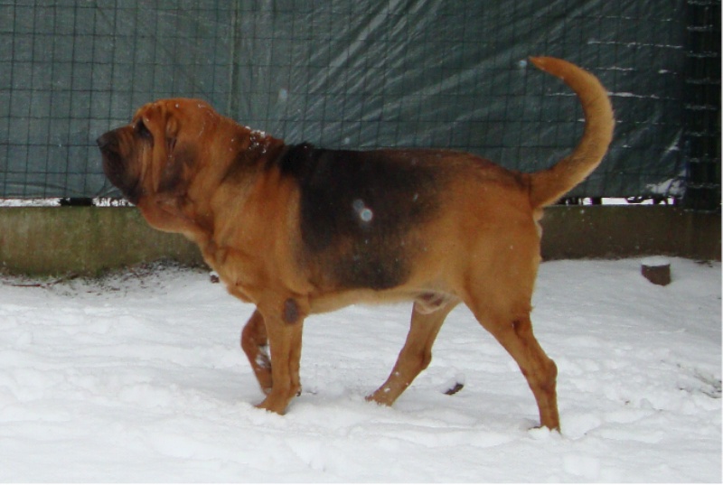 Publication : Légende d'Autrefois