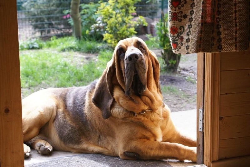 Publication : Légende d'Autrefois