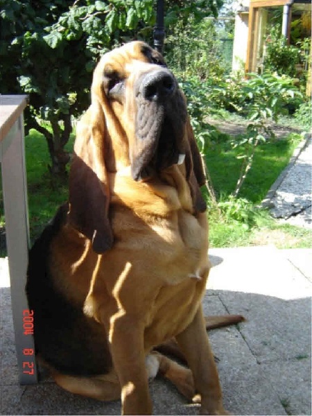 Publication : Légende d'Autrefois